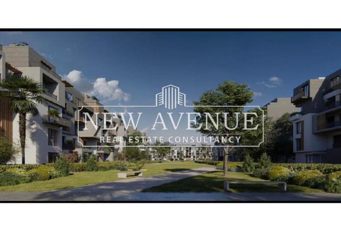 8398531 - Property Image 3