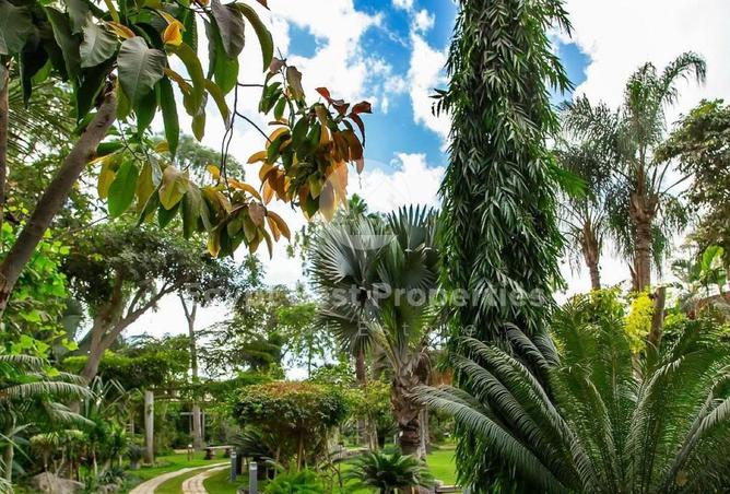 8367649 - صورة العقار 2