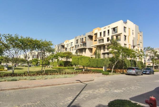 8337261 - صورة العقار 3