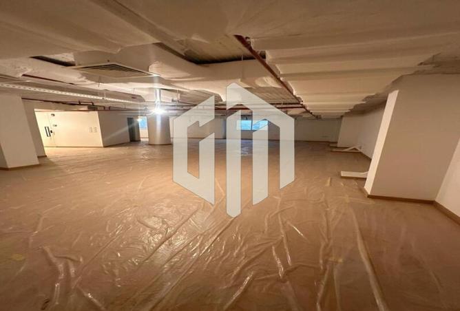 8081029 - Property Image 3