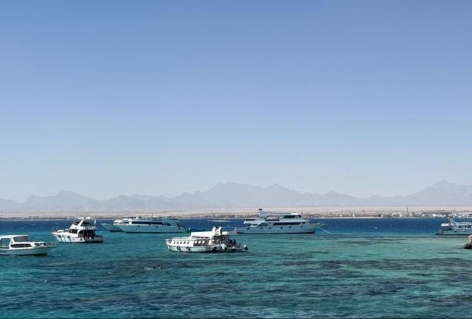 8449469 - صورة العقار 3