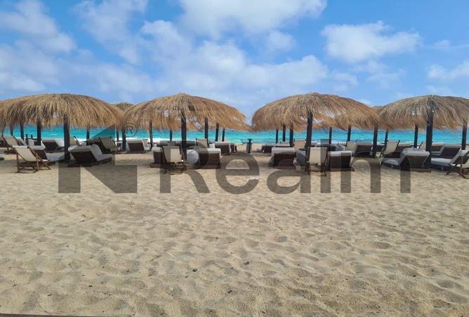 7968256 - صورة العقار 3