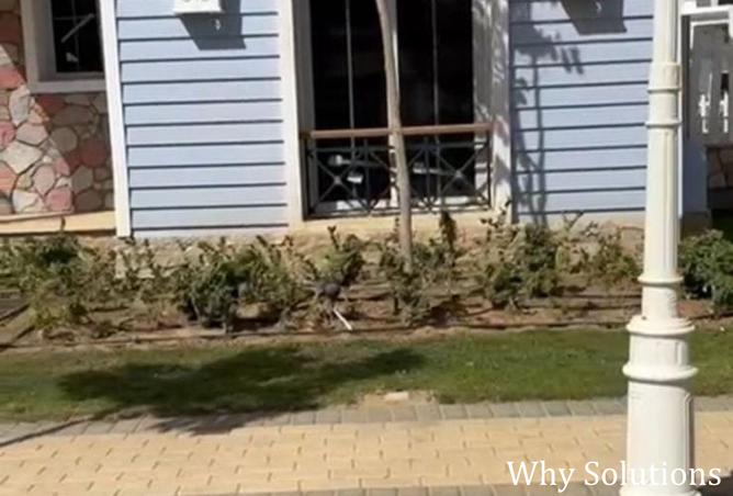 8310735 - الصورة الرئيسية للعقار