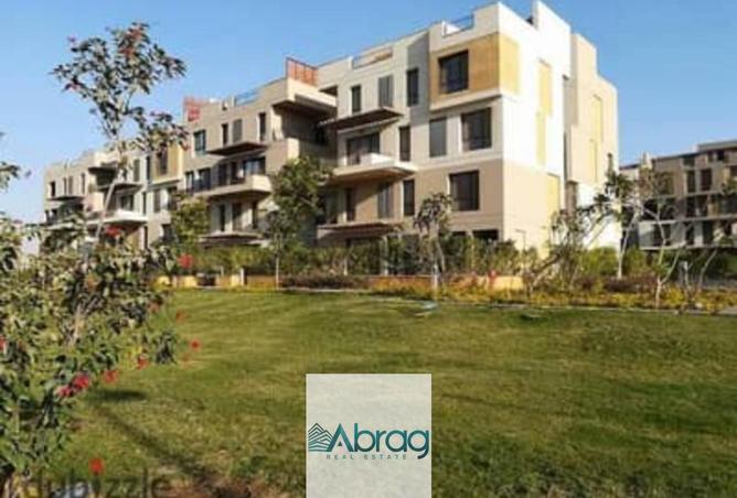 8127169 - Property Image 3