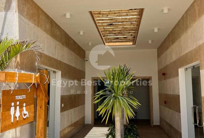 7923537 - Property Image 3