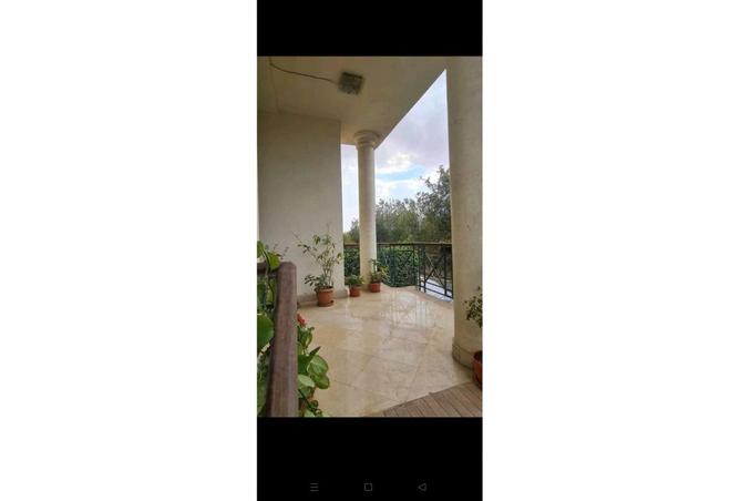 7895967 - صورة العقار 2