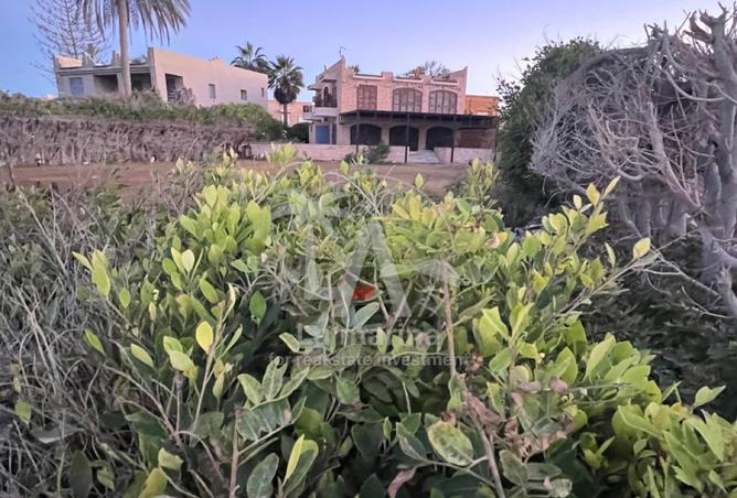 8404647 - Property Image 3