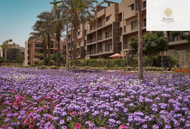 8427204 - Property Image 2