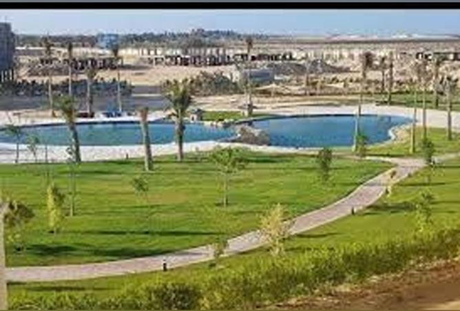 8159001 - صورة العقار 3