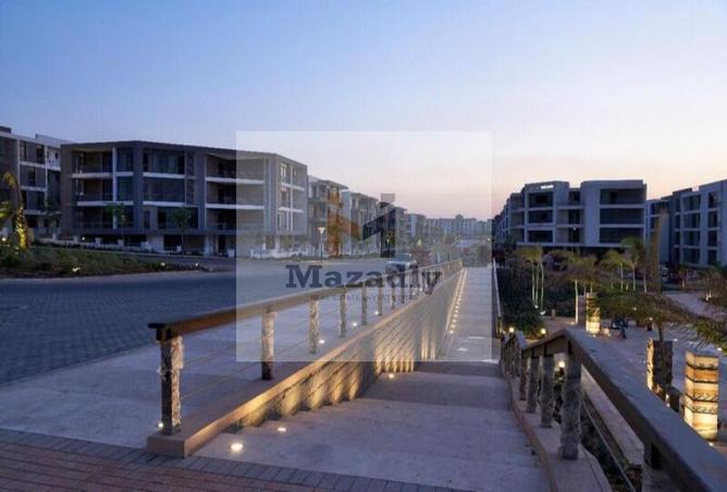 8385134 - Property Image 2