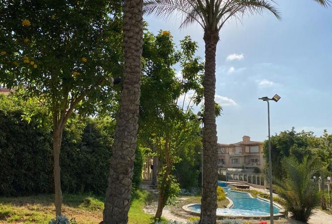 7965157 - صورة العقار 3