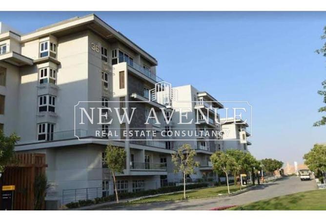 8373358 - Property Image 2