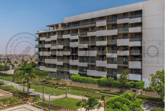 8390972 - Property Image 3