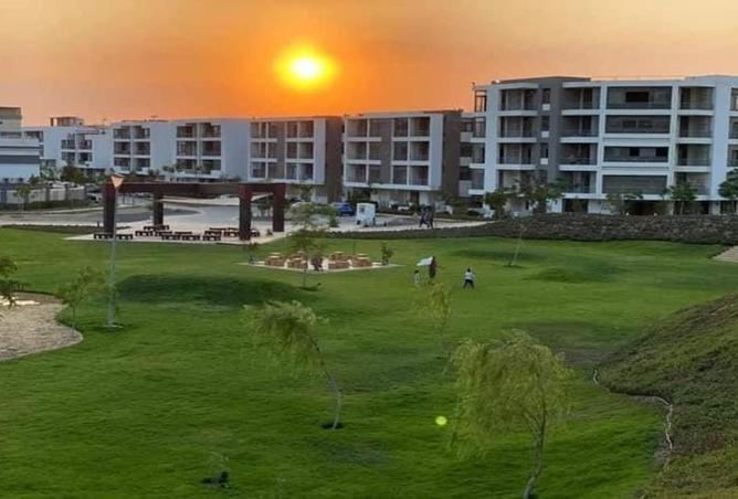 8198976 - صورة العقار 3