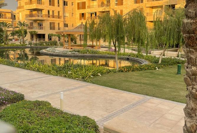 8512854 - Property Image 2