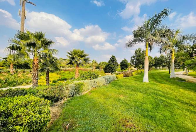 7915913 - الصورة الرئيسية للعقار