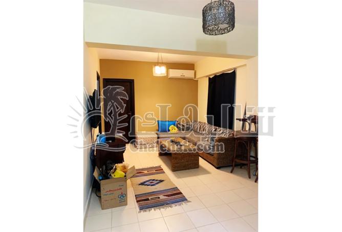 8140410 - Property Image 3