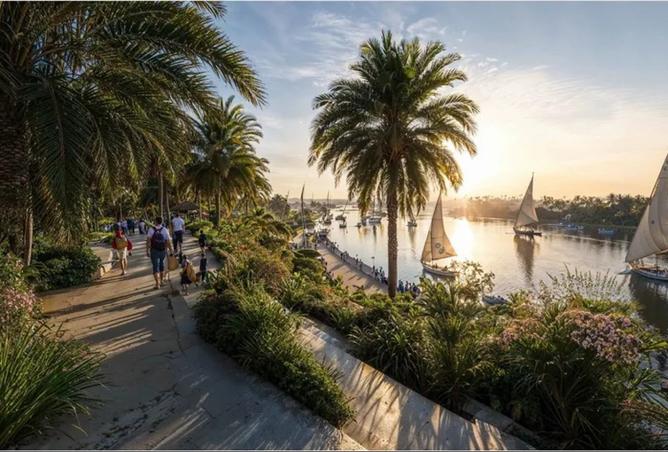 8566425 - Property Image 3