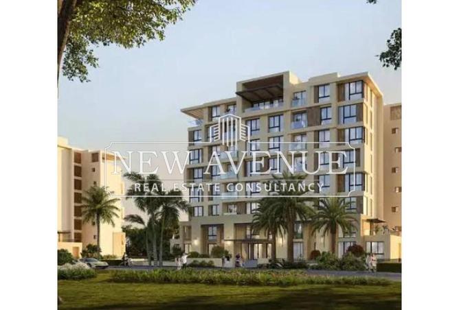 8315362 - Property Image 3