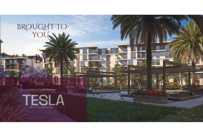 8285677 - Property Image 3