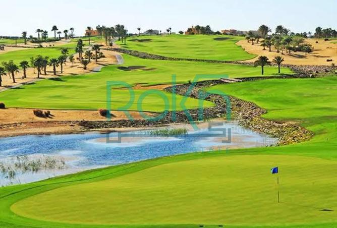 8378351 - Property Image 3