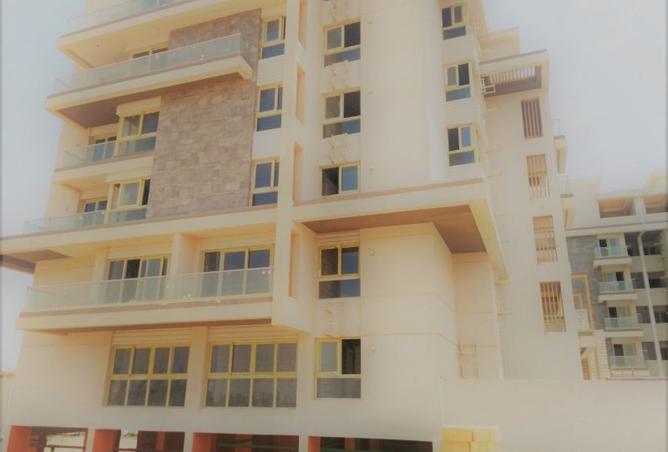 8206401 - Property Image 3