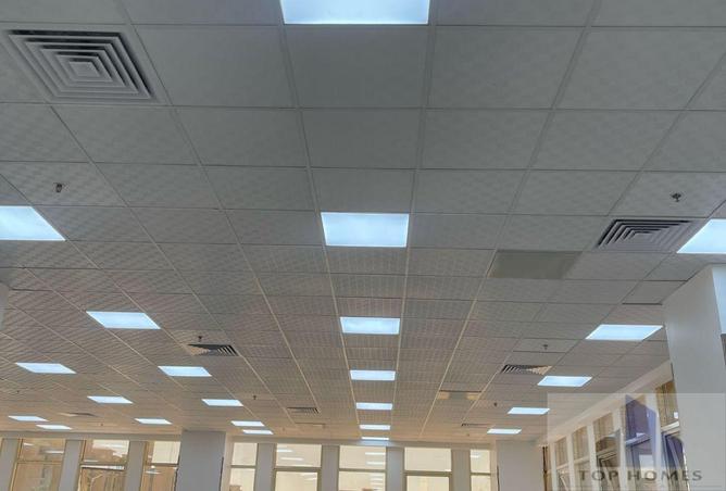 7902605 - صورة العقار 3