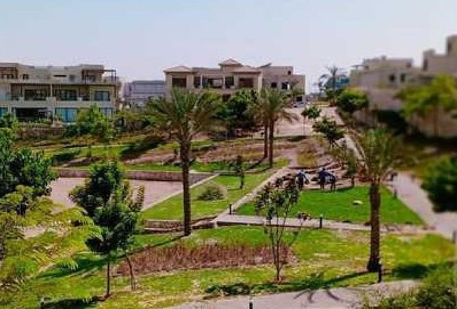 8152800 - صورة العقار 2