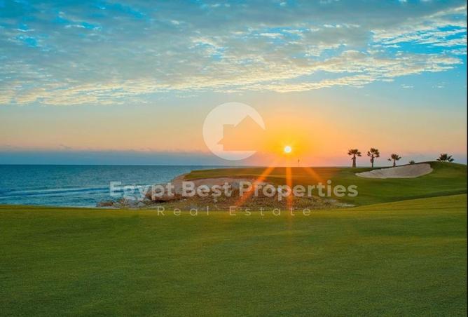 7975648 - Property Image 3