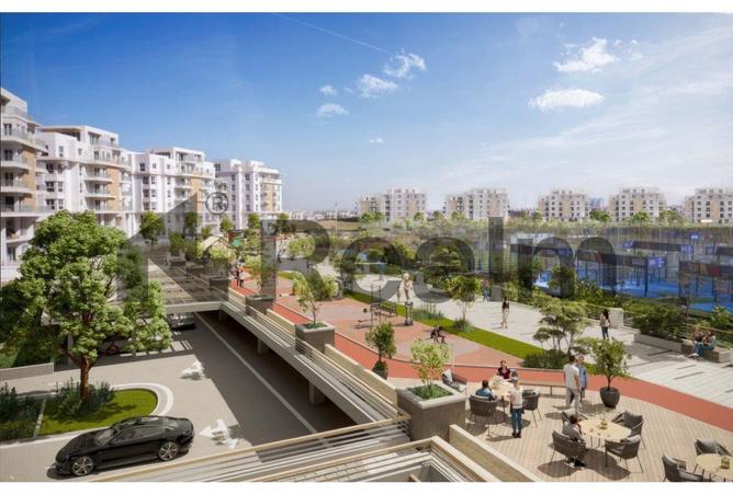 8175235 - Property Image 2