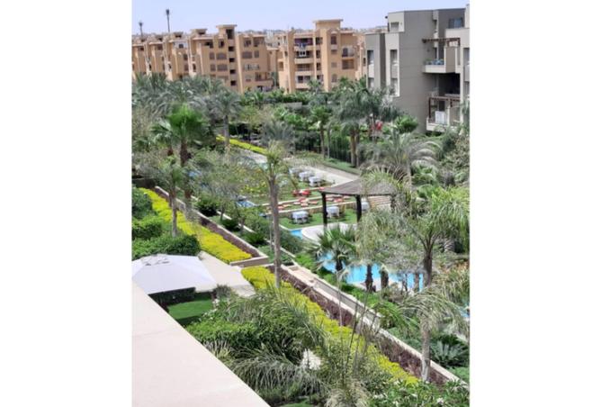 8126113 - Property Image 3