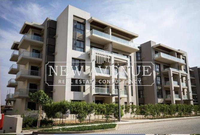 8186128 - Property Image 3