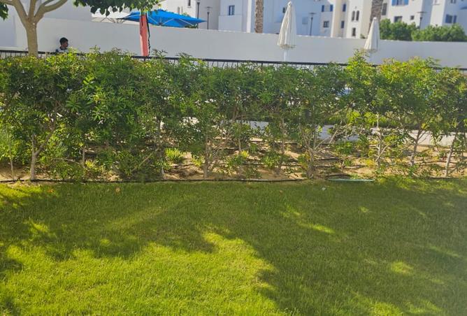 7983275 - صورة العقار 3