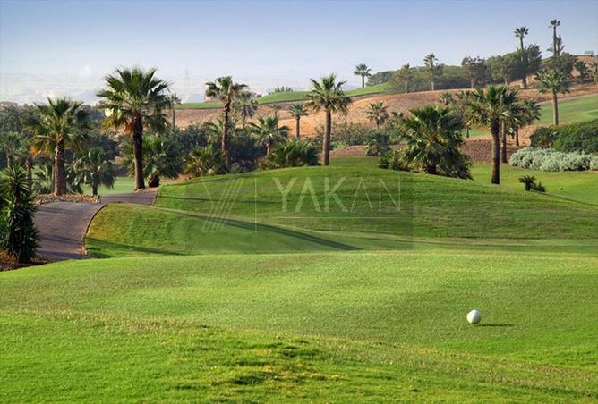 7992080 - الصورة الرئيسية للعقار