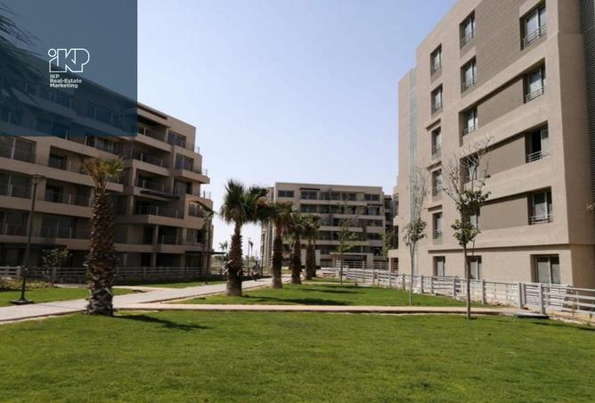 8044654 - Property Image 2