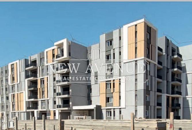 8239391 - Property Image 2