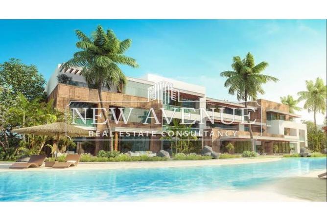 8079095 - Property Image 3