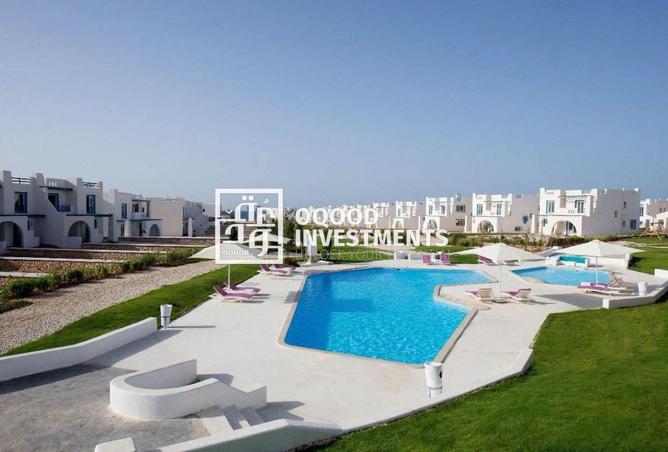 8095357 - Property Image 3