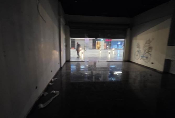 8136416 - Property Image 3