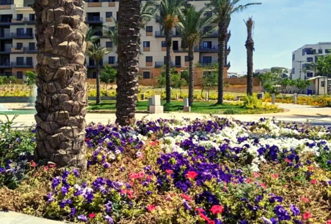 8363142 - Property Image 3