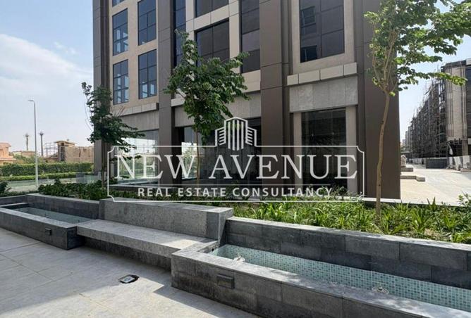 8068117 - Property Image 3