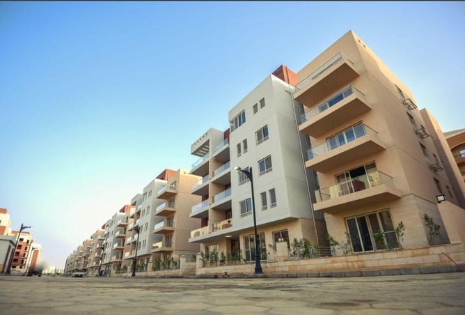 8166737 - Property Image 3