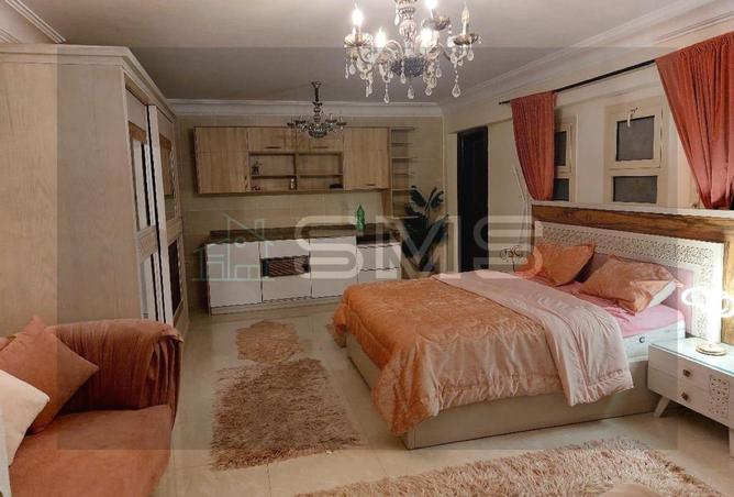 8202170 - Property Image 3