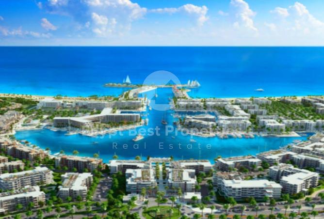 8395073 - Property Image 3