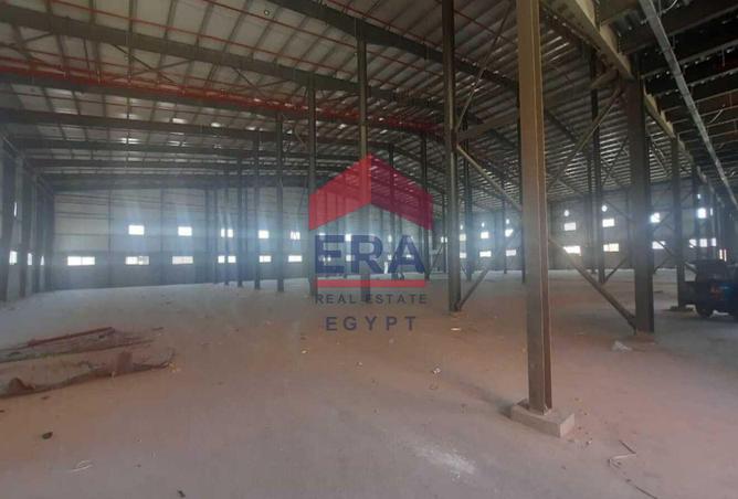 7959377 - Property Image 3