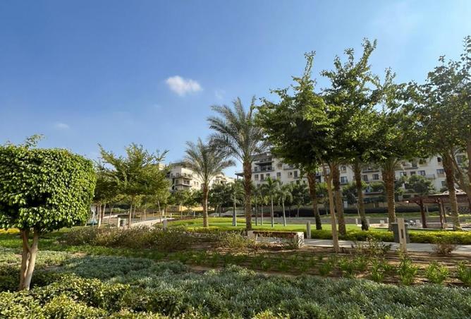8078003 - صورة العقار 3