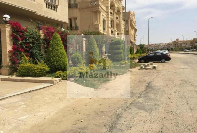 8393327 - Property Image 2