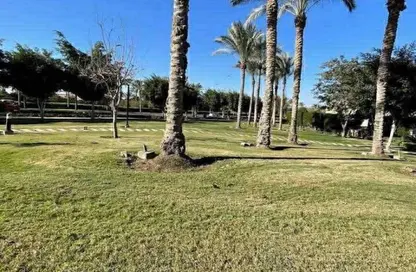 Villa - 4 Bedrooms - 4 Bathrooms for sale in Madinaty - Cairo Villa - 4 Bedrooms - 4 Bathrooms for sale in Madinaty - Cairo