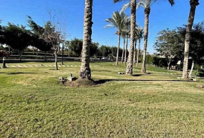 8547077 - Property Image 3