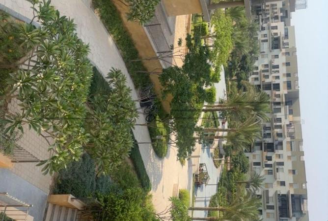 7885697 - Property Image 3